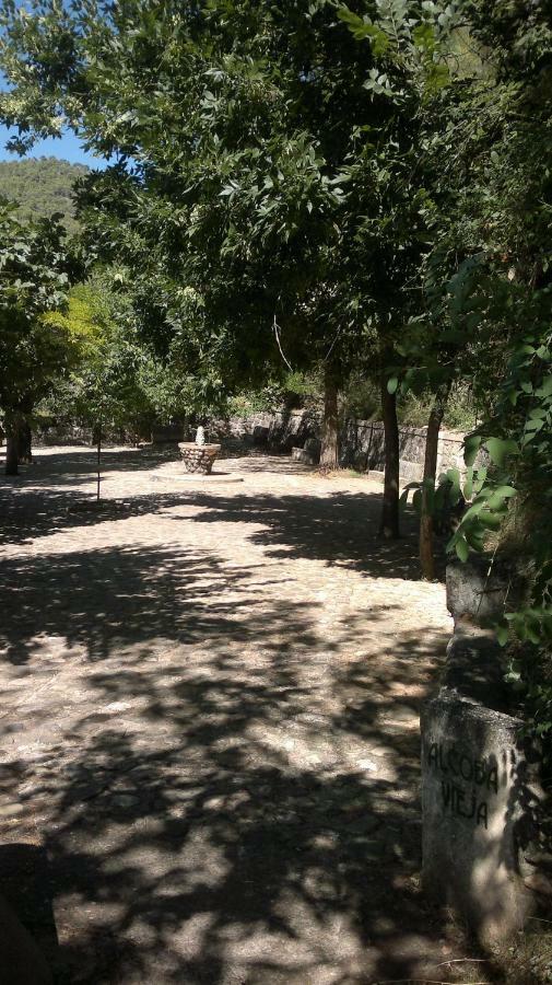 La Casa De La Abuela Clotilde ξενώνας Hornos Εξωτερικό φωτογραφία